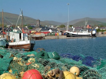 medium_Dingle_mai_2007_125.jpg