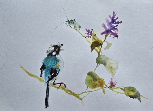 Crayons de couleur,aquarelle,abby,dessin,oiseaux,style asiatique,fruits,insectes