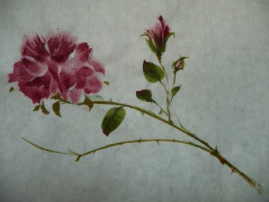 Sumi 011.jpg
