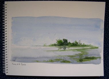 Calme au marais.jpg