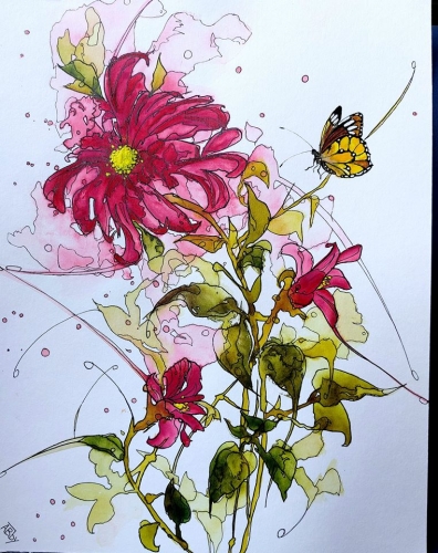 aquarelles,watercolor,fleurs,insectes,oiseaux,sumie,abby