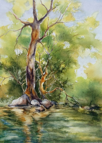 abby,aquarelle,watercolor,paysage,landscape,arbres,rivière