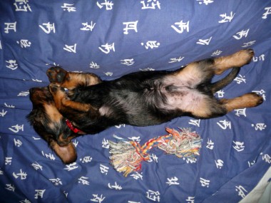 Elliot 3 mois 038.jpg