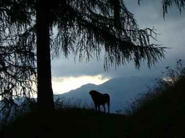Digo aout 08 185.jpg