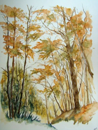 Forêt belge 0708 .jpg