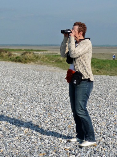 Baie de Somme 014.jpg