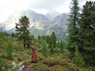 Digo aout 08 389.jpg