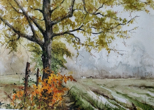 abby,aquarelle,watercolor,paysage,landscape,arbres,rivière,forêt;