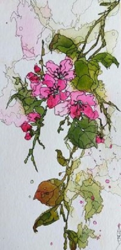 aquarelle,abby,fleur,nature,watercolor,flower