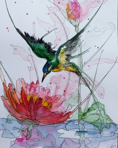 aquarelles,watercolor,fleurs,insectes,oiseaux,sumie,abby
