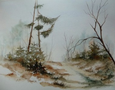 Chemin en Flamenne 2.jpg