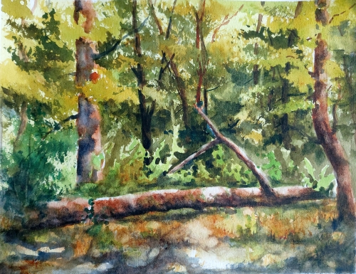 Aquarelle,watercolor,abby,aquarelle paysage, orne, normandie, rivière, reflets