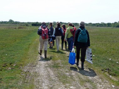 Baie de Somme 038.jpg