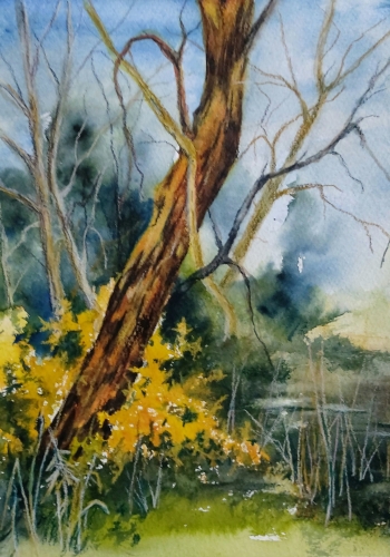 abby,aquarelle,watercolor,paysage,landscape,arbres,rivière