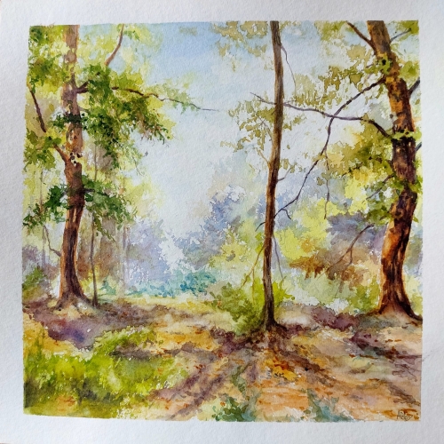 abby,aquarelle,watercolor,arbre,forêt,sous-bois,paysage,landscape,nature,peinture,art