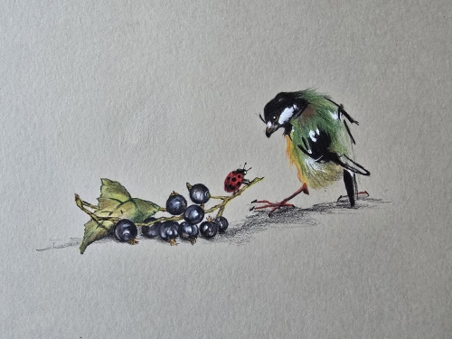 Crayons de couleur,aquarelle,abby,dessin,oiseaux,style asiatique,fruits,insectes