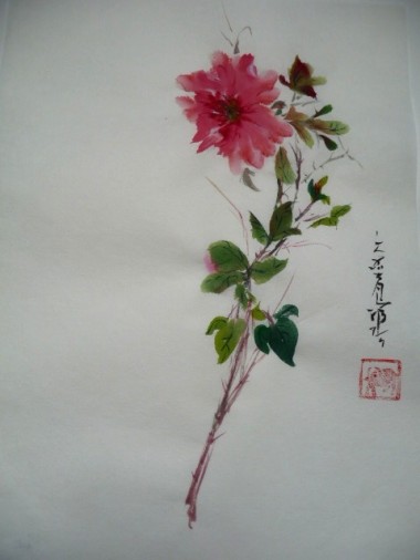 Pivoine2.jpg
