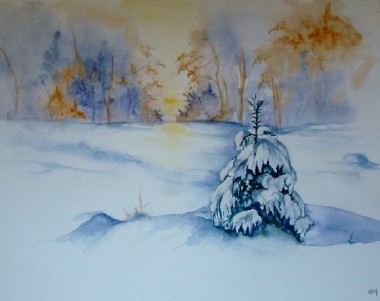 Sapin blanc 1.jpg